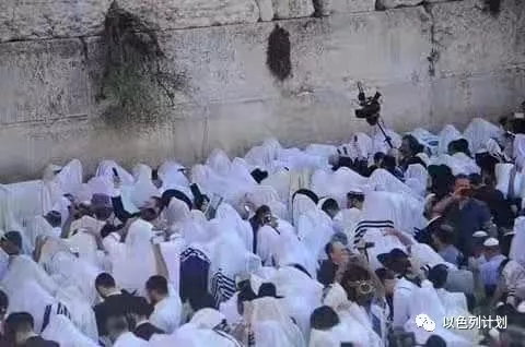 住棚节快乐！Happy Sukkot!(图4)