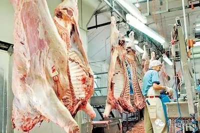 3分钟读懂清真食品(Halal Food)(图1)